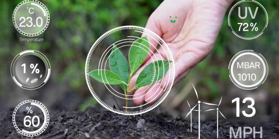 Crop Health Monitoring